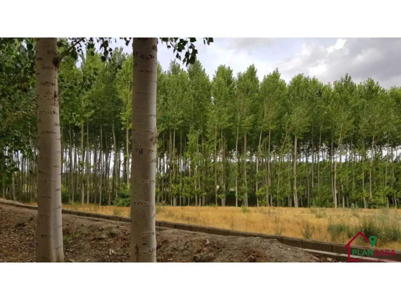 Exterior view of Land for sale in Purullena