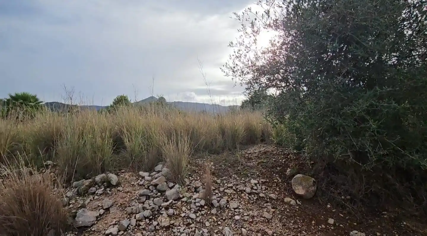 Rural land for sale in Tormos, imagen 3