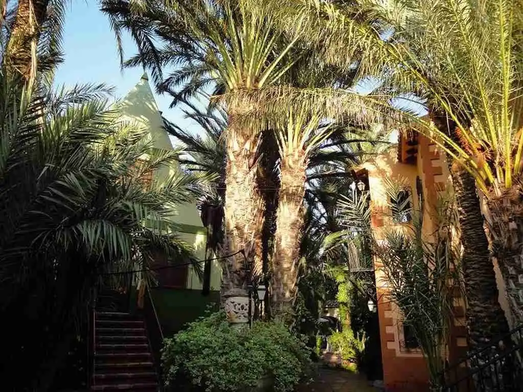 Garden of Houses for sale in San Vicente del Raspeig / Sant Vicent del Raspeig  with Air Conditioner, Heating and Terrace