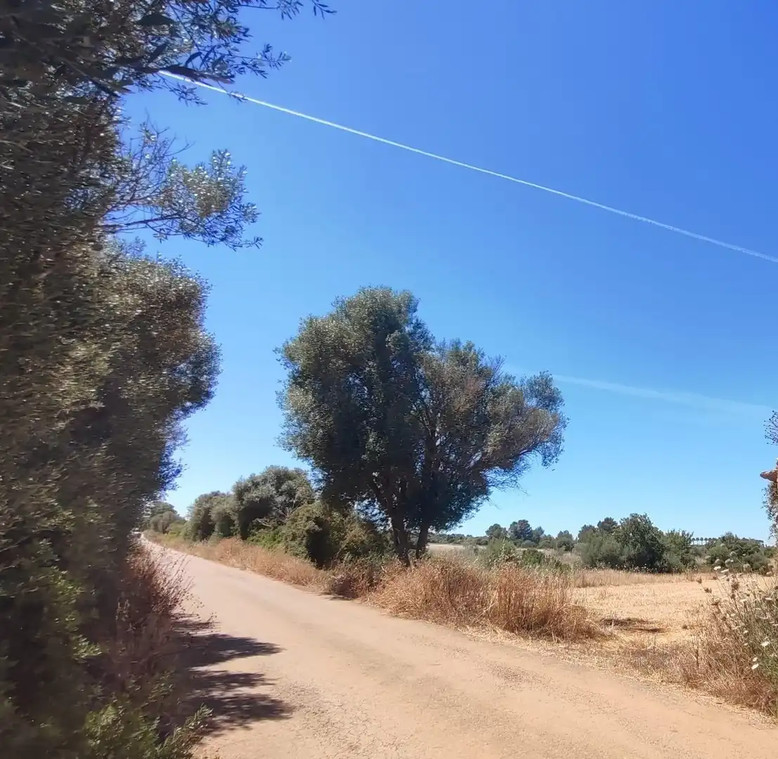 Terreno rústico en venta en Sencelles