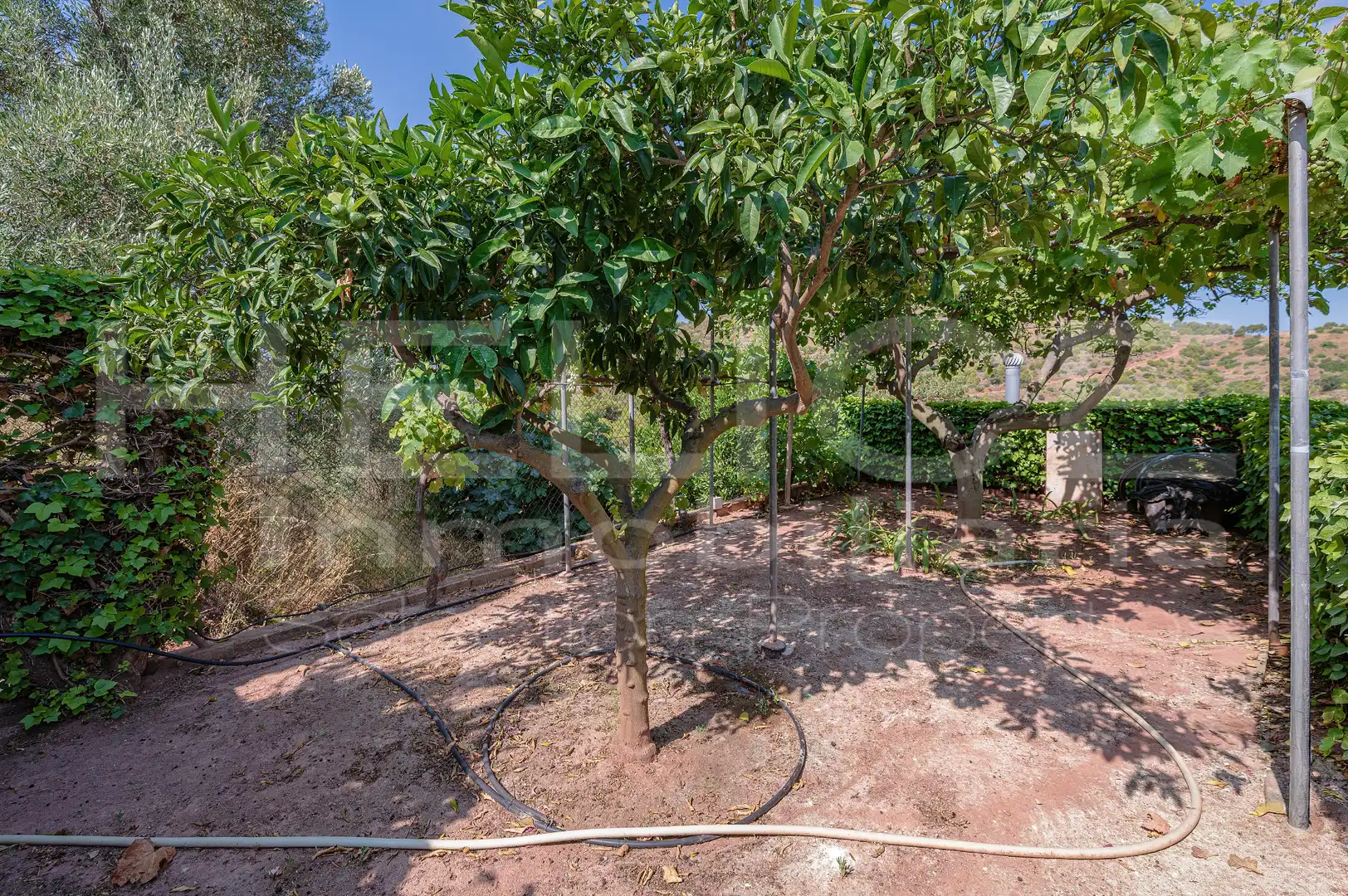 Detached homes for sale in Corral Nou - Montros - Estepar