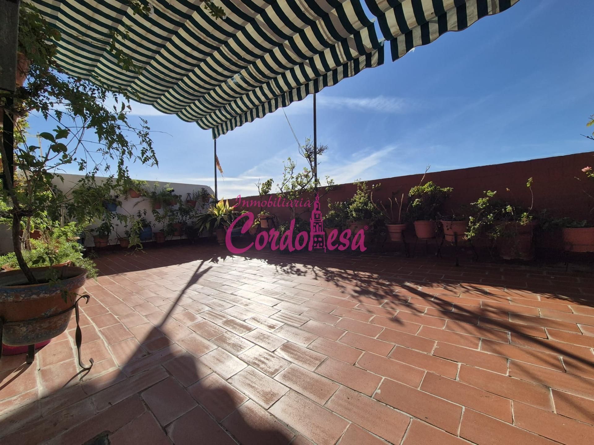 Piso en venta en Ciudad Jardín - Zoco, Poniente-Sur