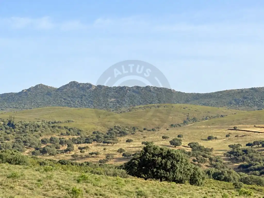Casa rústica en venta en Poligono 3 Paraje 94 Quejigoso, imagen 4