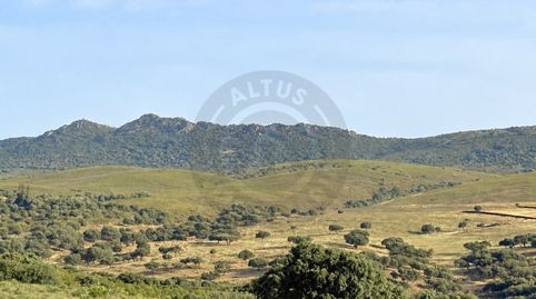 Foto 4 de Finca rústica en venda a Poligono 3 Paraje 94 Quejigoso, Deleitosa, Cáceres