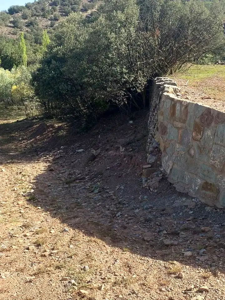 Grundstücke zum Verkauf in Formiche Alto, Teruel