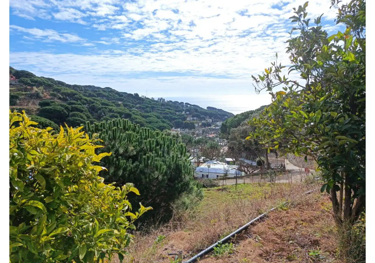 Exterior view of Land for sale in Sant Pol de Mar