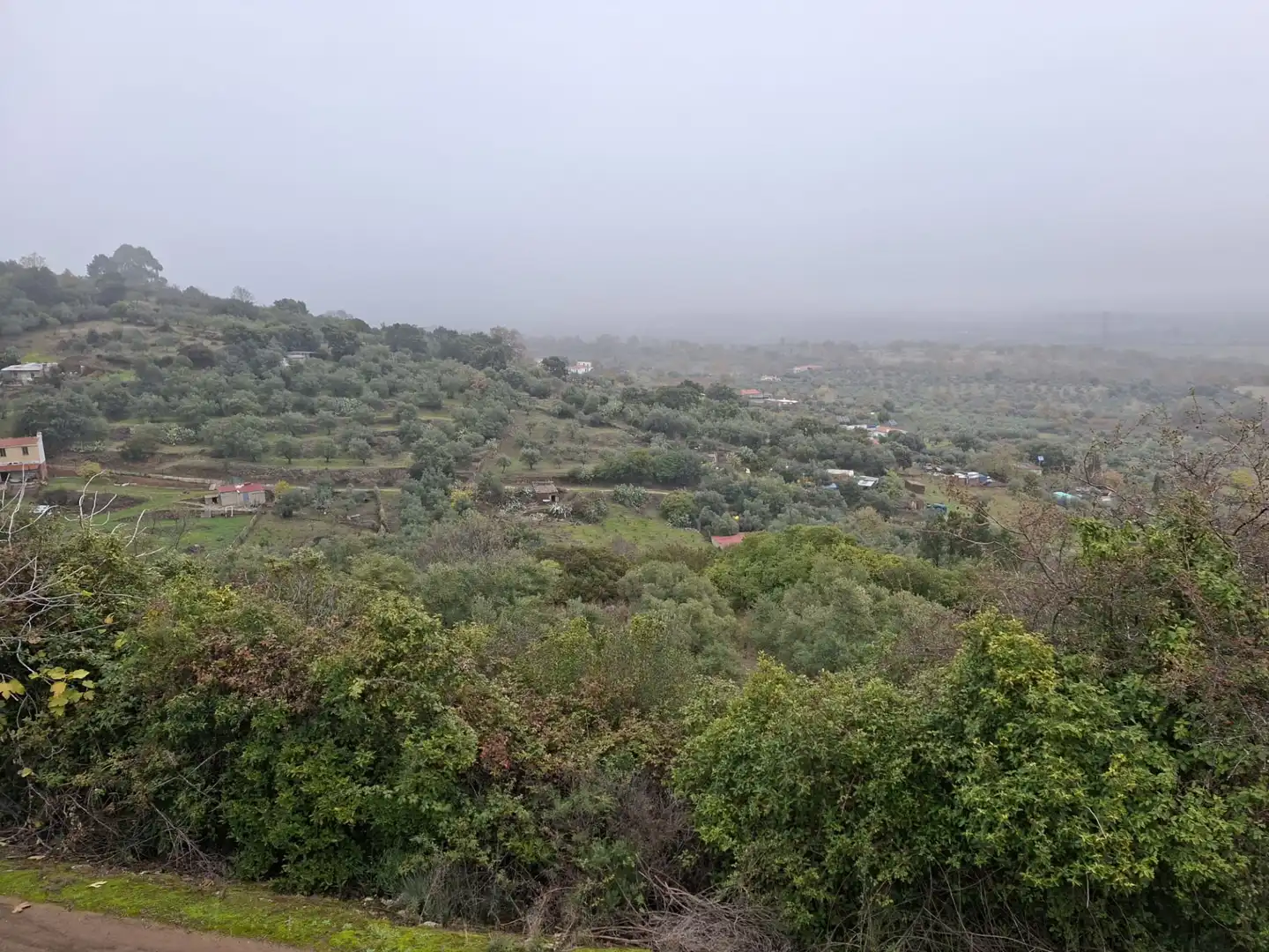 Terreni e lotti in vendita a Malpartida de Plasencia, imagen 13