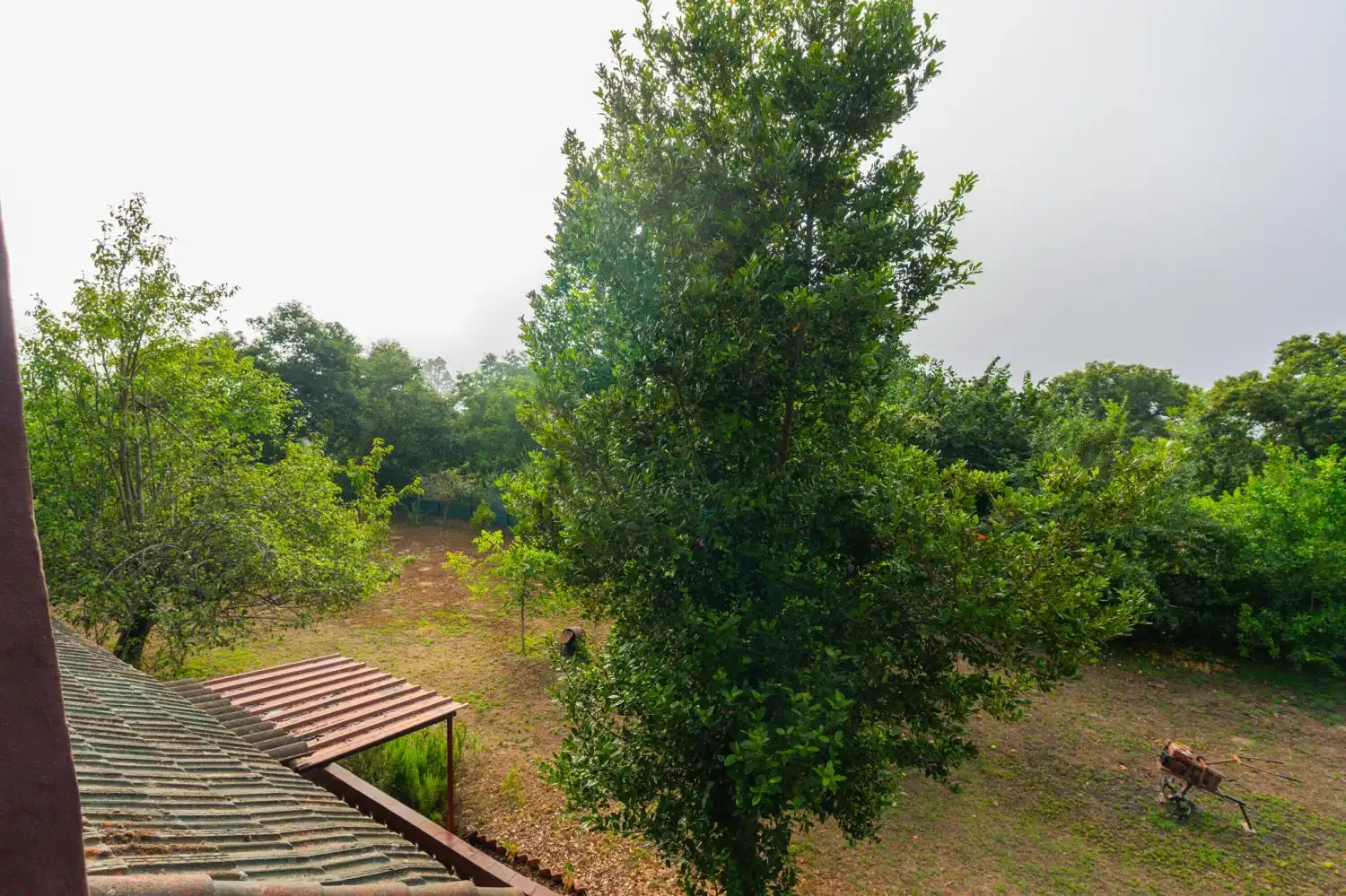 Finca rústica en venda en La Orotava amb Traster