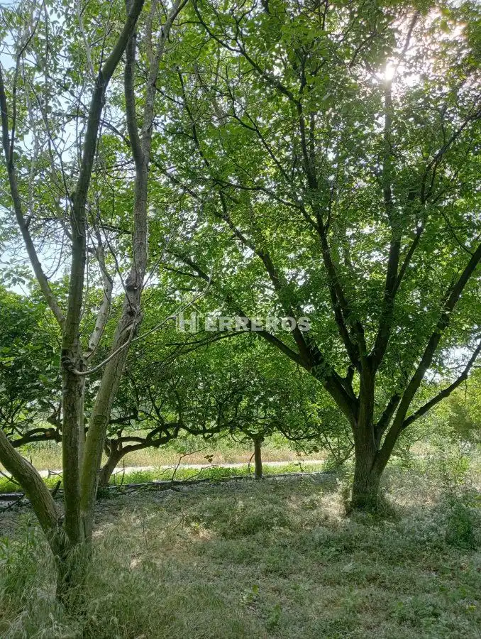 Finca rústica en venda en Arrúbal