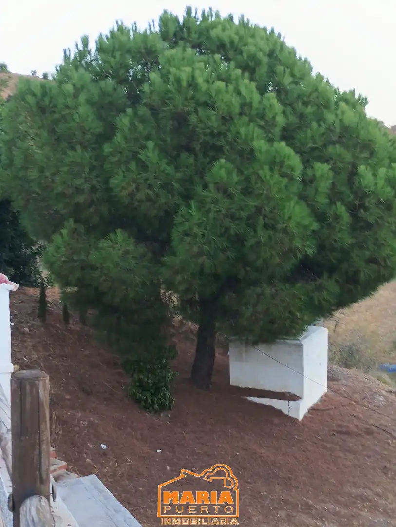 Casa rústica en venta en Almogía, imagen 7