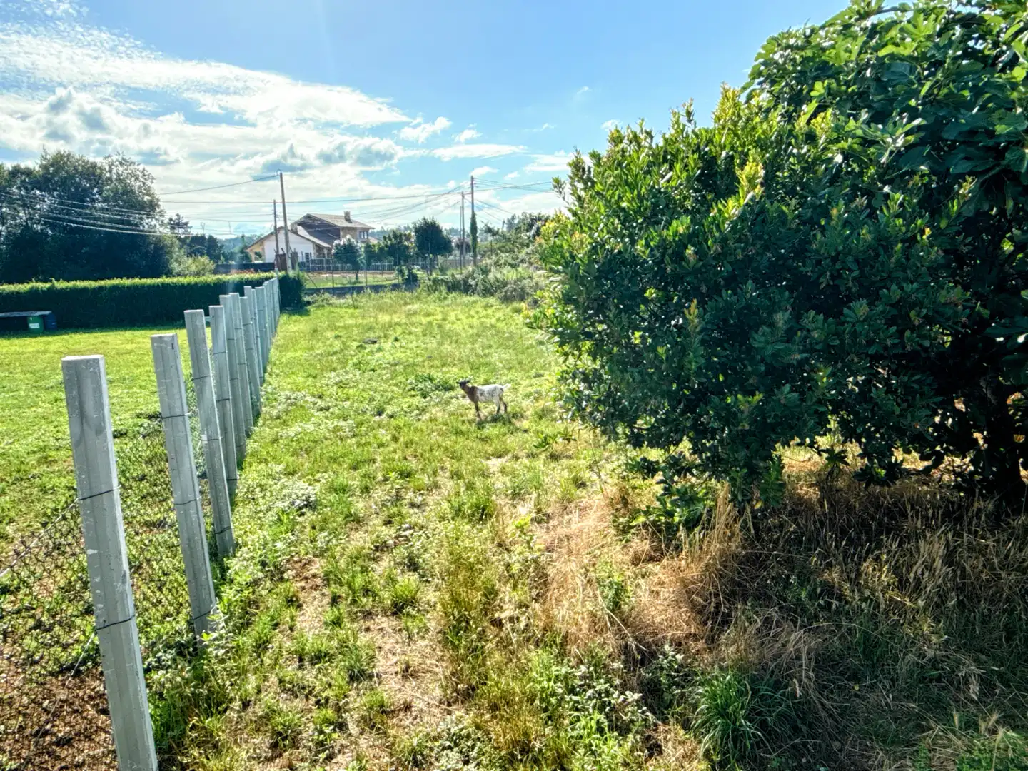 Casa o xalet en venda en Carballo amb Terrassa