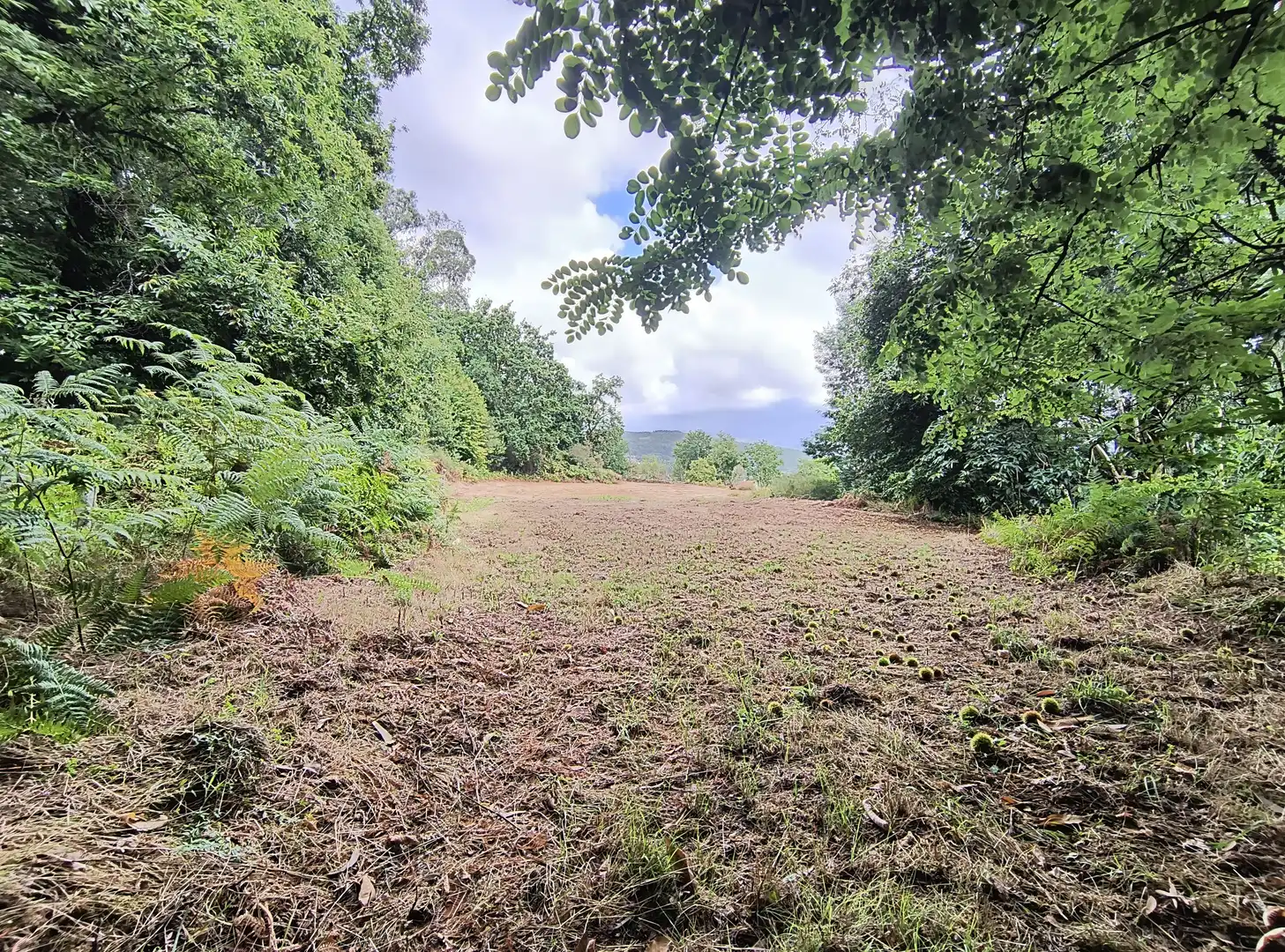 Terrenos y solares en venta en Mondariz, imagen 5