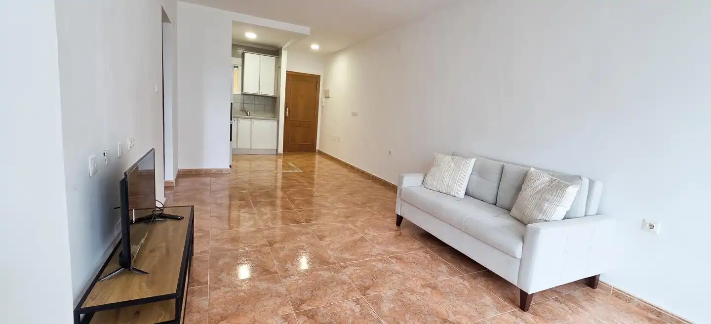 Living room of Flat for rent in Alicante / Alacant  with Furnished and Community pool