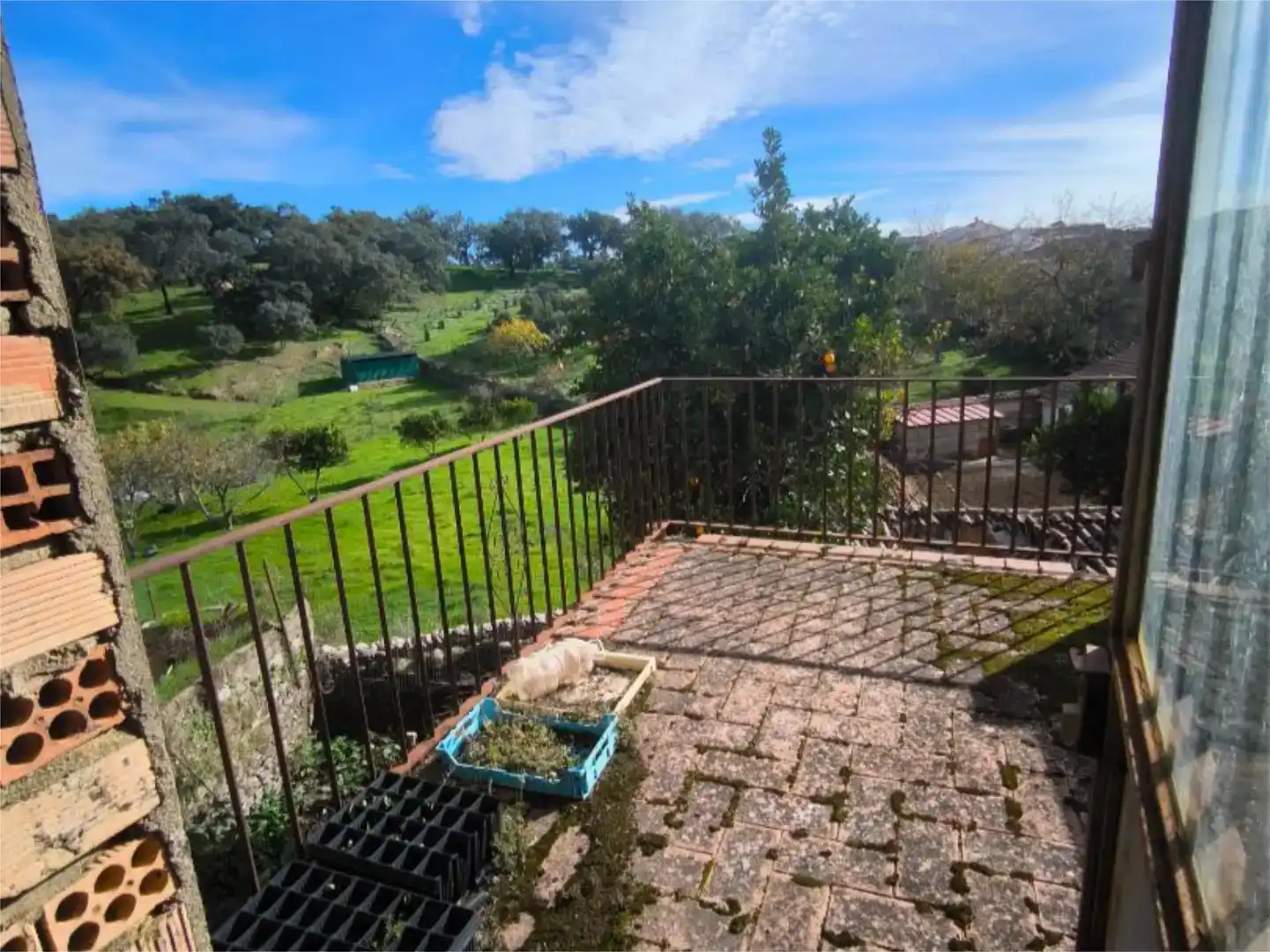 Garden of Flat for sale in Corteconcepción