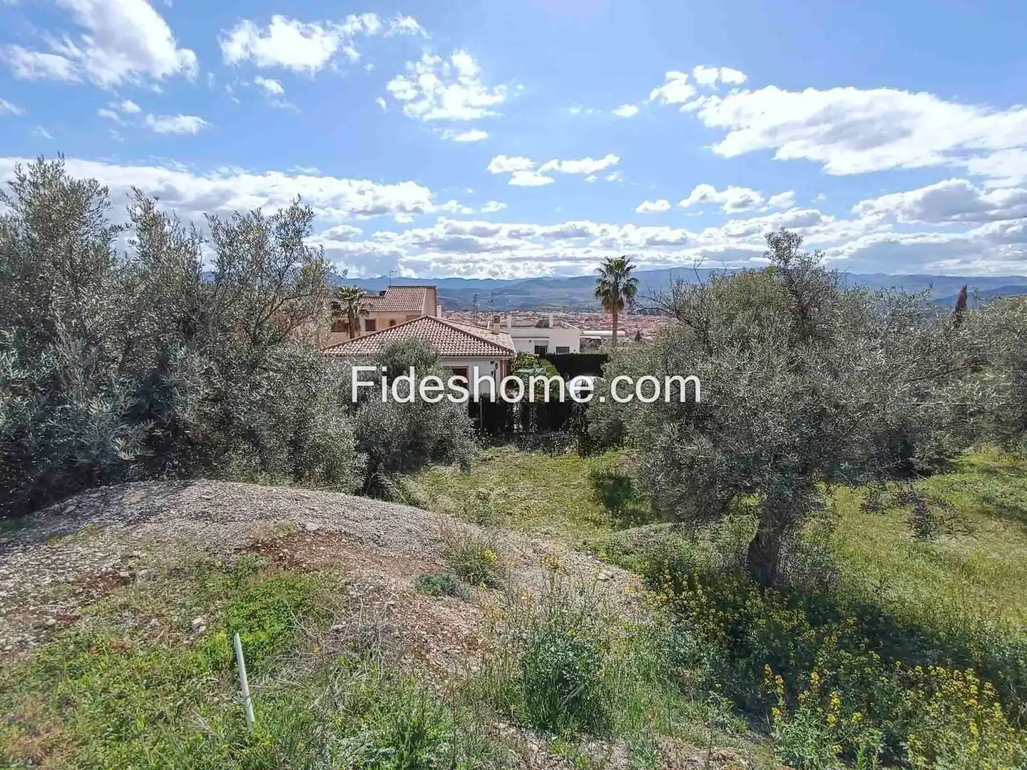 Rural land for sale in Calle Gabriel Garcia Marquez 9, imagen 6