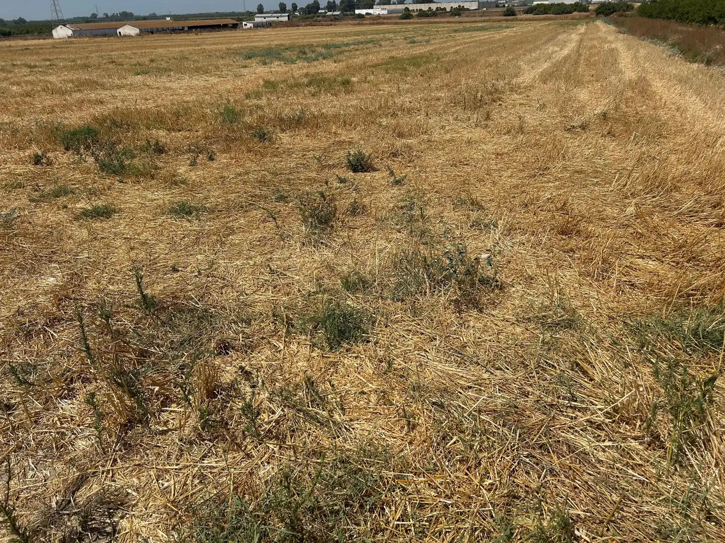 Terreno residencial en venta en POLIGONO 3 PARCELA 317 LA DEHESILLLA, imagen 4