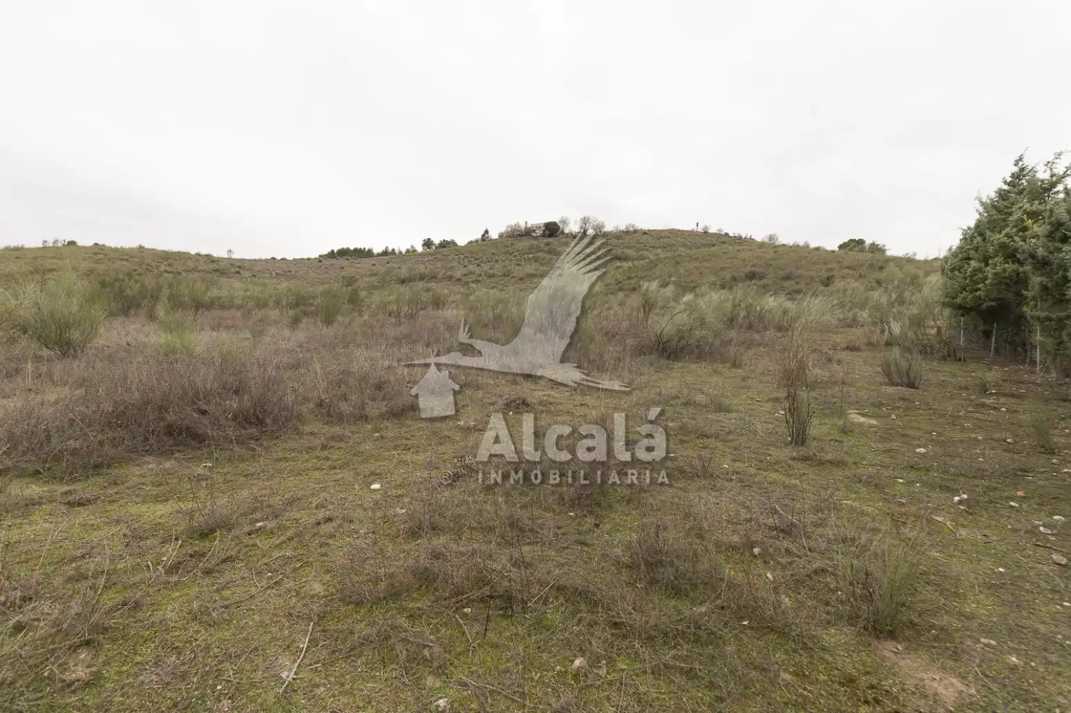 Terreny residencial en venda a Illana, imagen 18