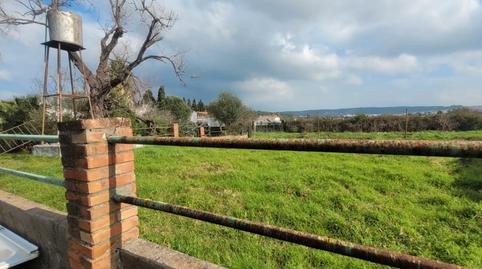 Foto 4 de Finca rústica en venda a Autovía Los Barrios, 8, Los Barrios, Cádiz