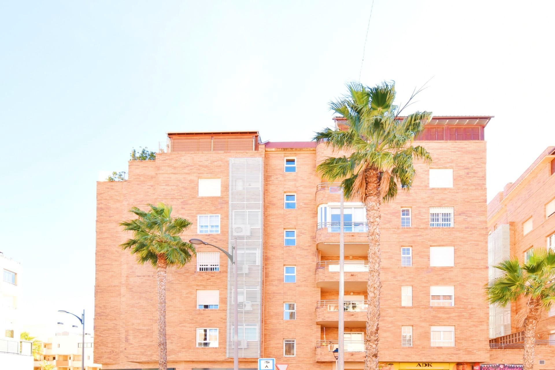 Vista exterior de Pis en venda en Roquetas de Mar amb Terrassa i Moblat