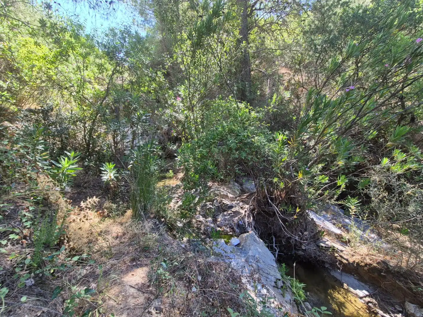 Finca rústica en venda en Guaro amb Calefacció, Terrassa i Traster