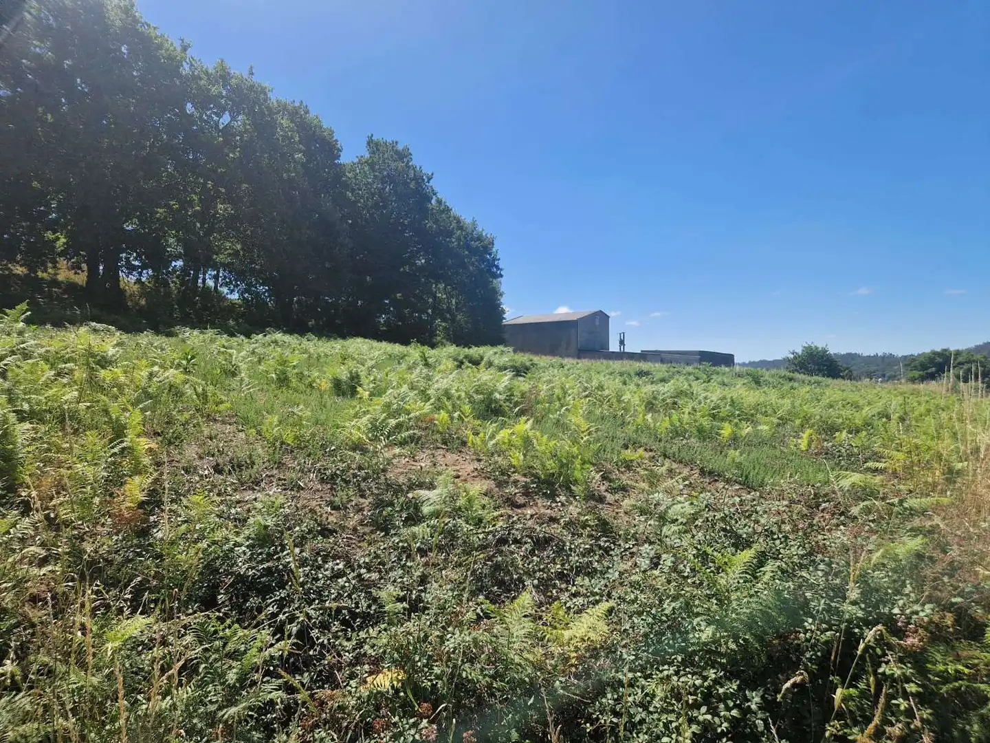 Terrenos y solares en venta en Negreira, imagen 6