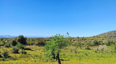 Photo 4 of Residential for sale in Polígono Polígono 33 Parcela 436, S'Horta - Cas Concos des Cavaller - Es Carritxó, Illes Balears