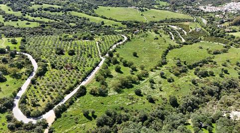 Photo 5 of Country house for sale in Gaucín, Málaga