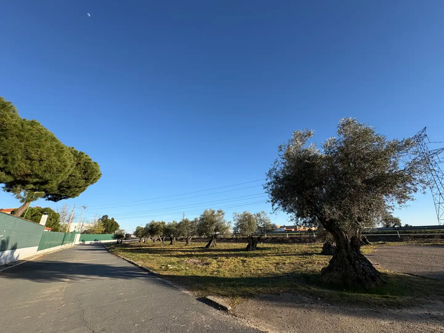 Nave industrial en venta en Cedillo del Condado con Alarma