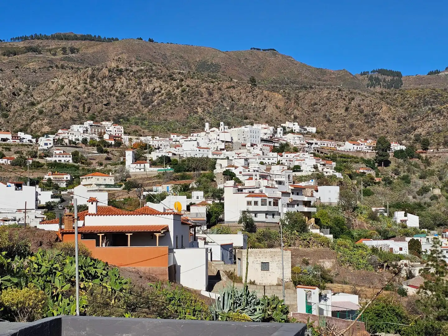 Vista exterior de Finca rústica en venta en Tejeda