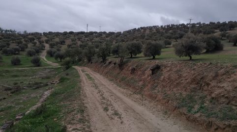 Foto 4 von Residential zum Verkauf in C/ Rosa Regas, La Malahá, Granada