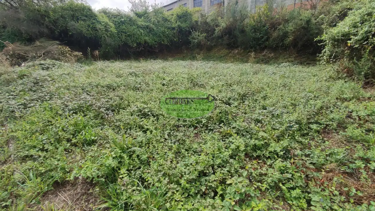 Residential land for sale in O Carballiño