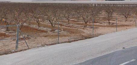 Terreno en Venta en El Castillo