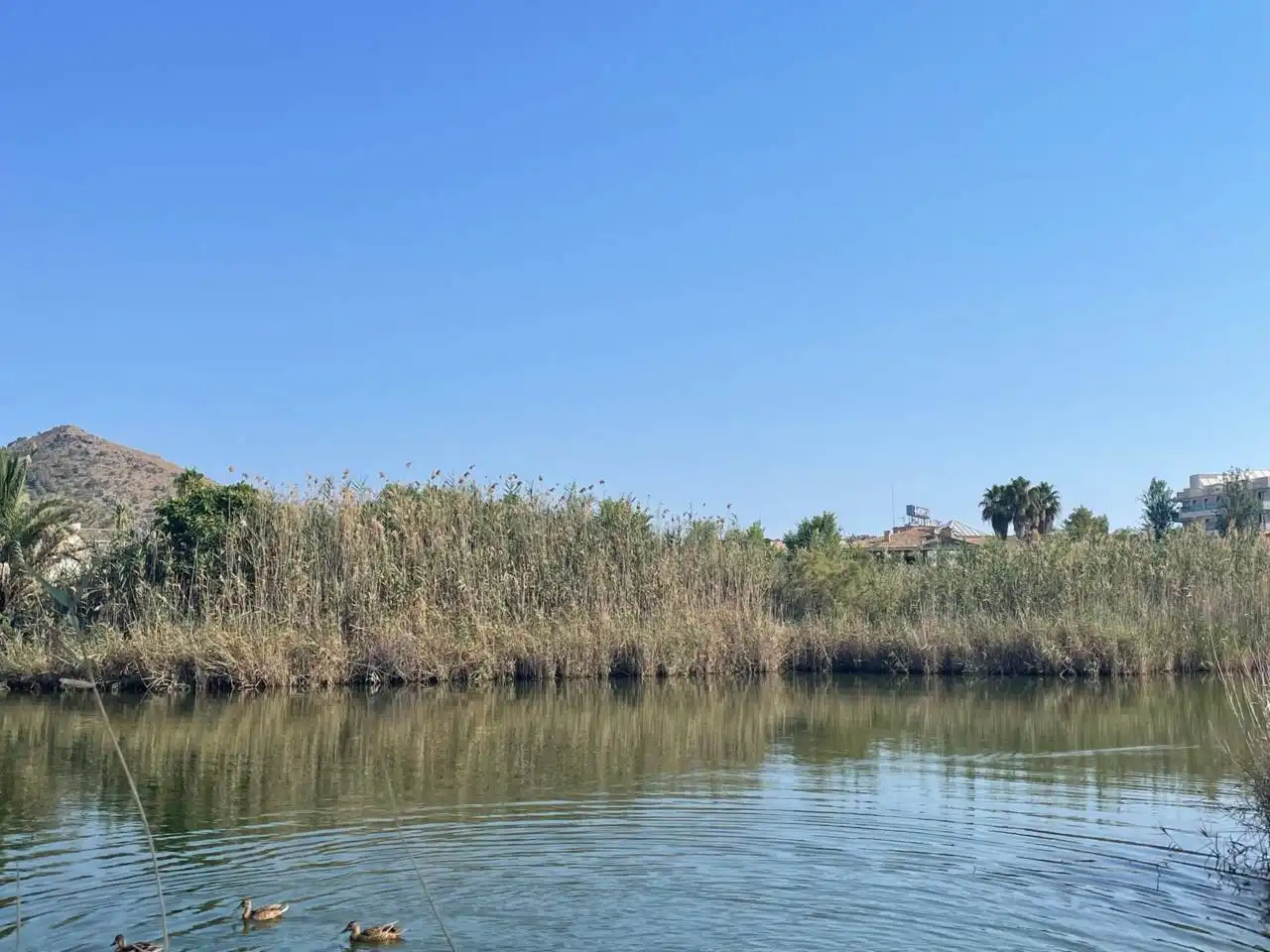 Terreny residencial en venda a Port d'Alcúdia - Platja d'Alcúdia, imagen 9