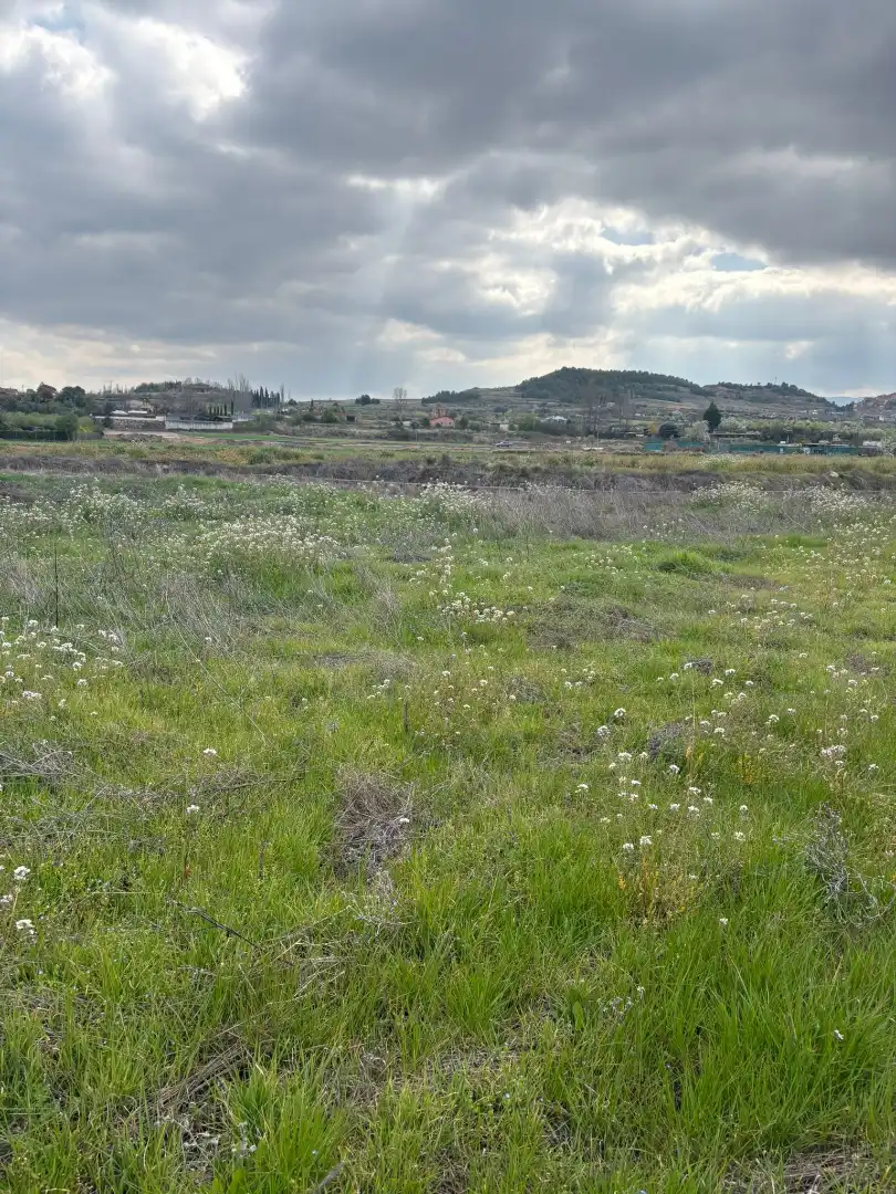 Terreno rústico en venta en Villamediana de Iregua, imagen 3