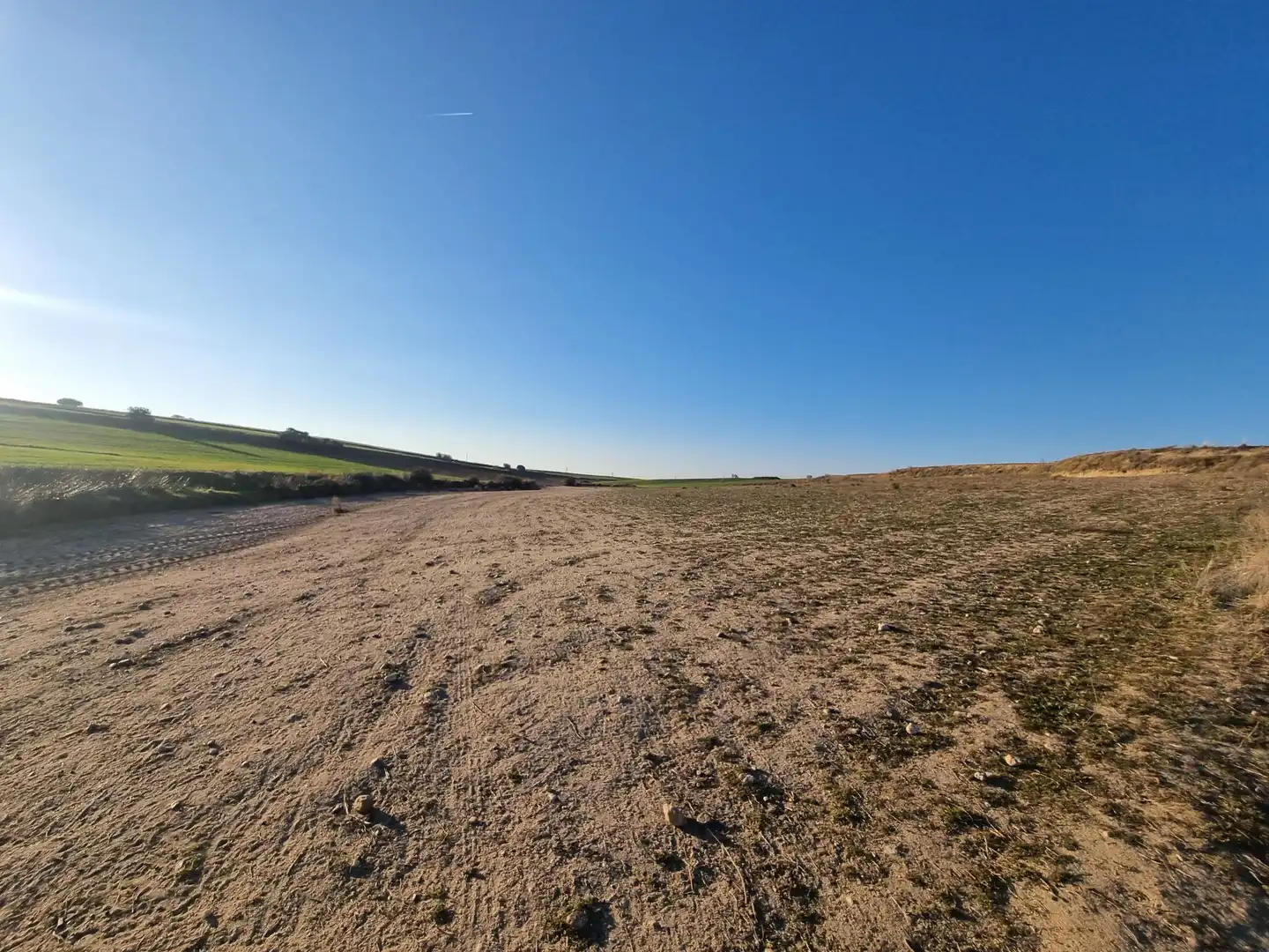 Rural land for sale in El Álamo, imagen 10