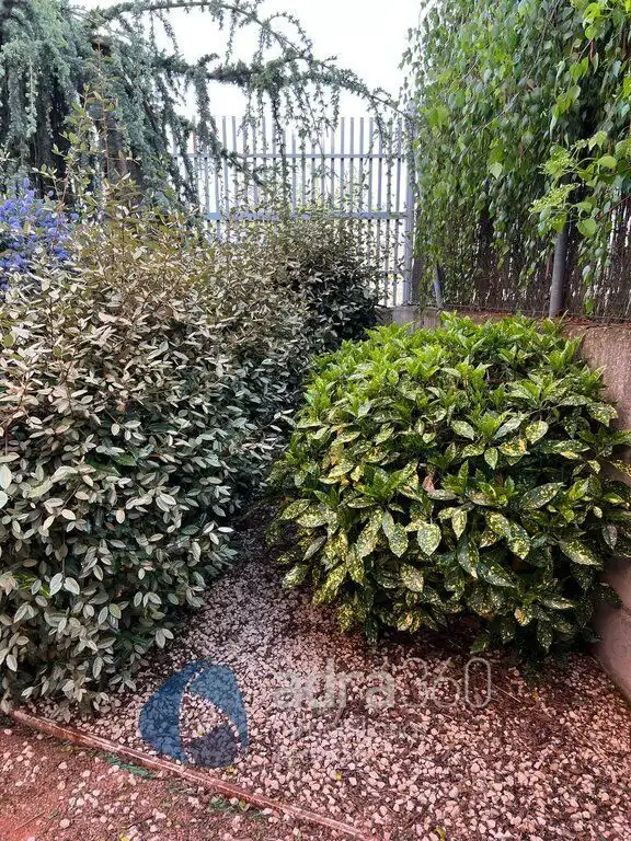 Jardí de Casa o xalet en venda en Cirueña amb Calefacció, Jardí privat i Terrassa