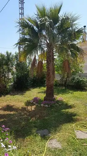Villa avec terrasse à vendre à Camí de Cervera 5, imagen 26