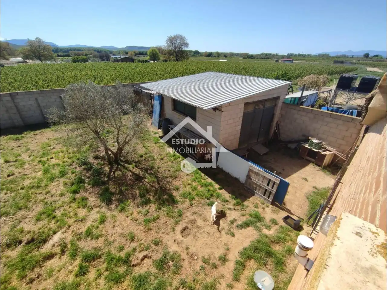 Rural land for sale in Camino Callejada, imagen 19