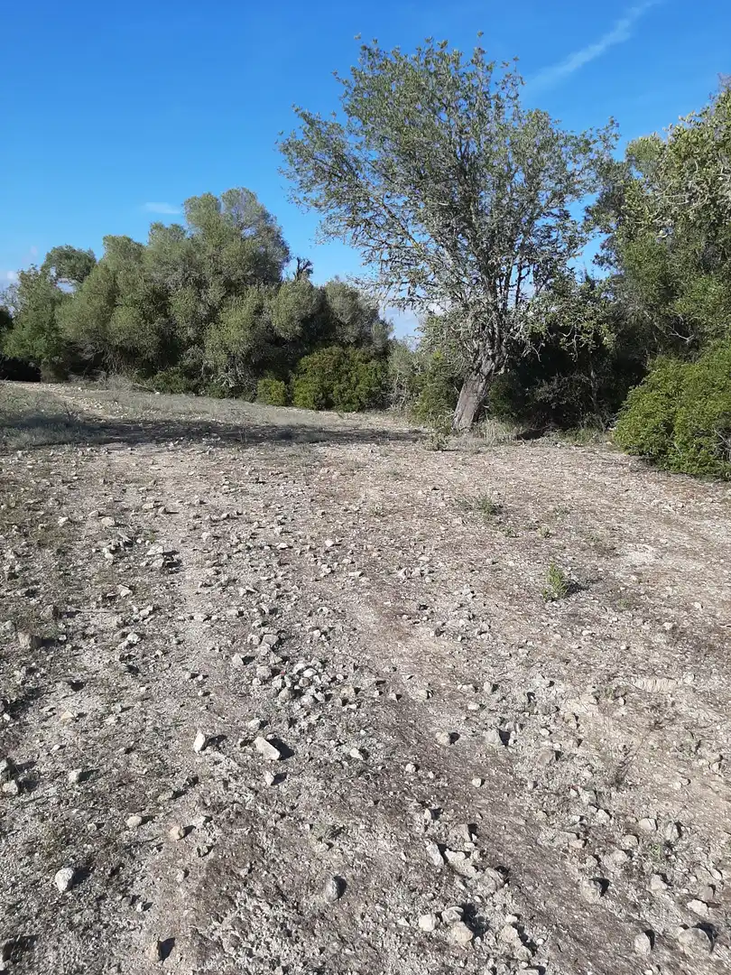 Terrain rustique à vendre à Sant Joan, imagen 12
