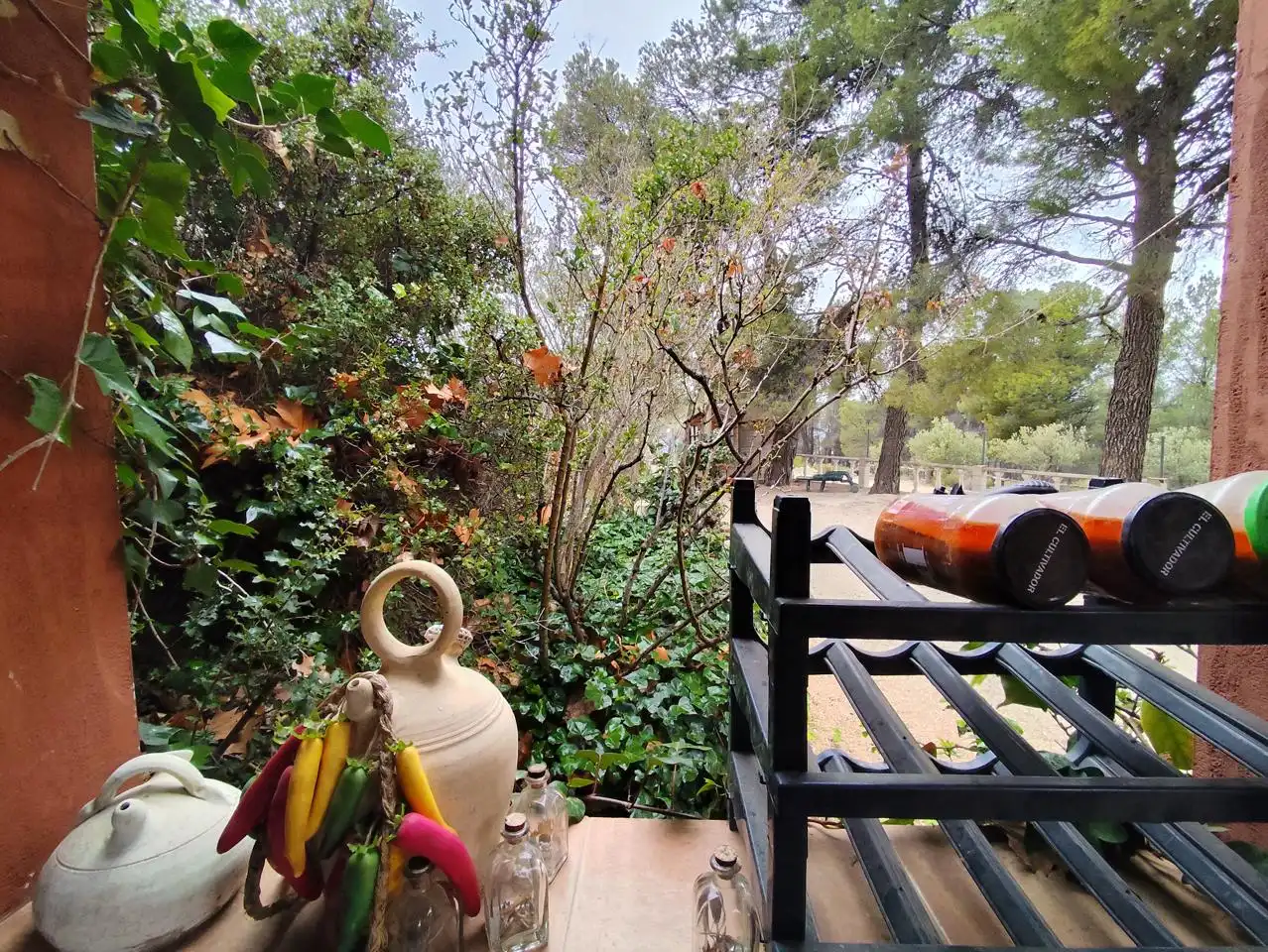 Country homes for rent in Ibi