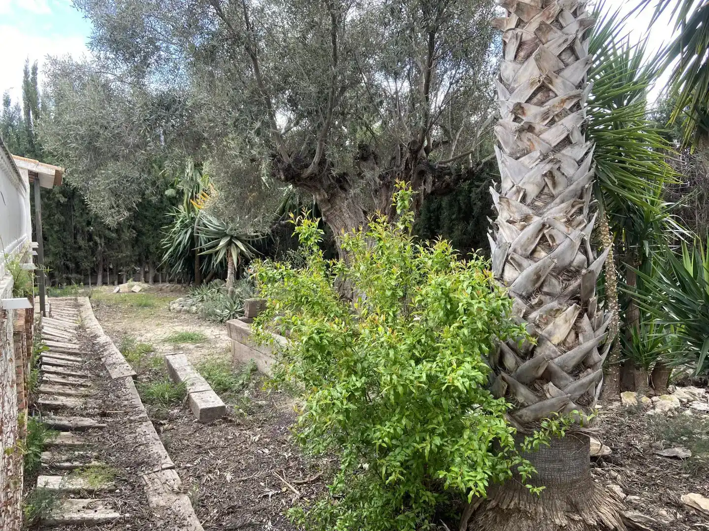 Finca rústica en venda en Archena amb Balcó