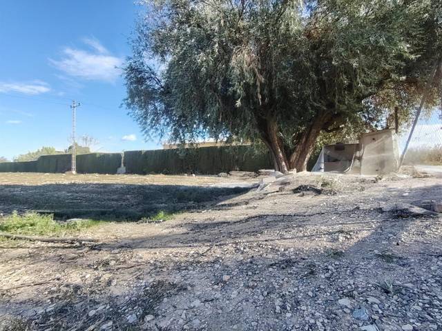 Terreno en Venta en Novelda