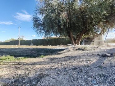 Terreno rústico en venta en Novelda