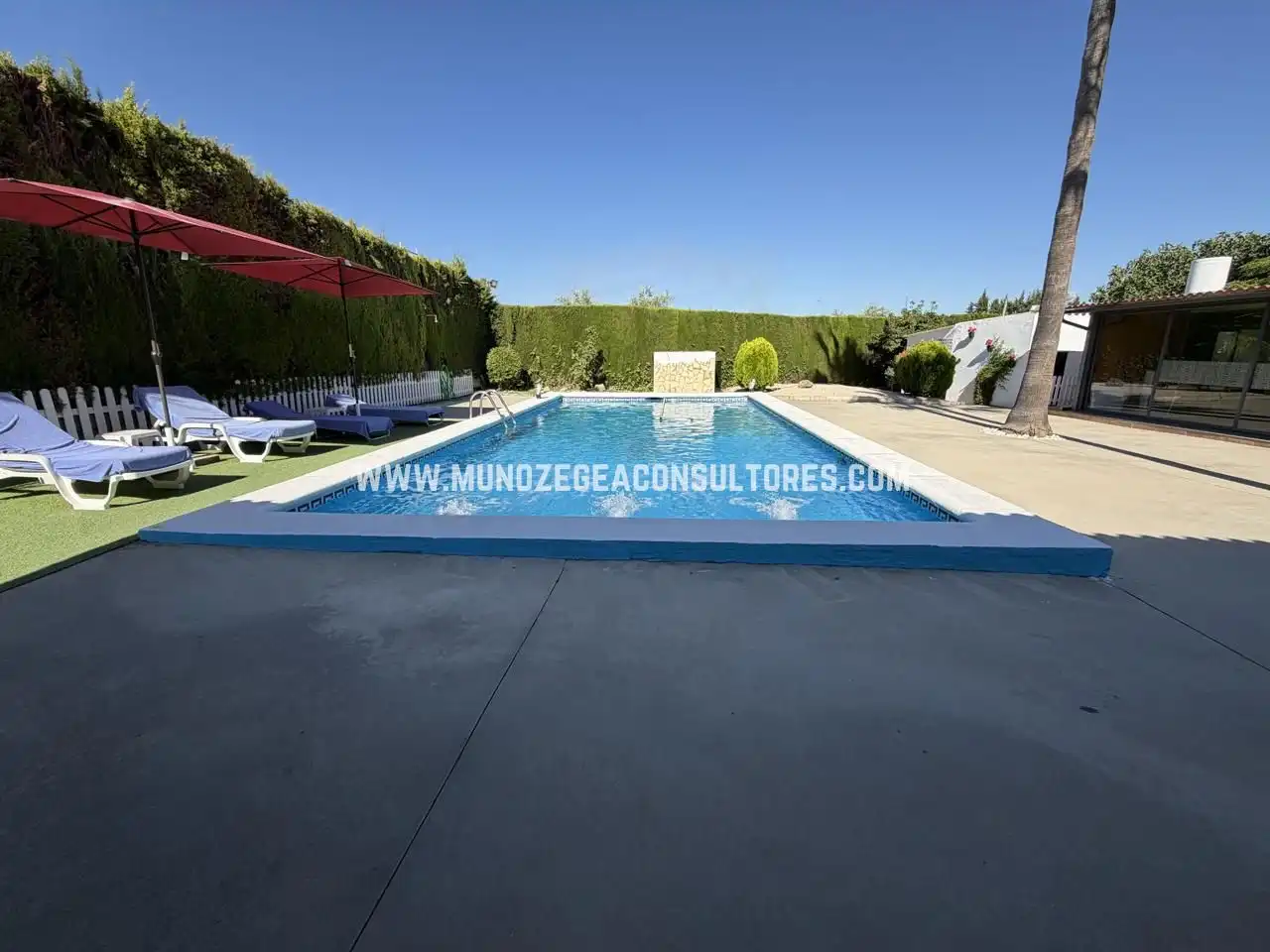 Swimming pool of Houses for sale in Lucena  with Air Conditioner, Private garden and Terrace