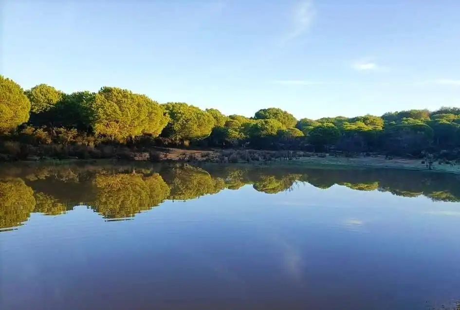 Vista exterior de Àtic en venda en El Portil amb Terrassa, Moblat i Piscina comunitària