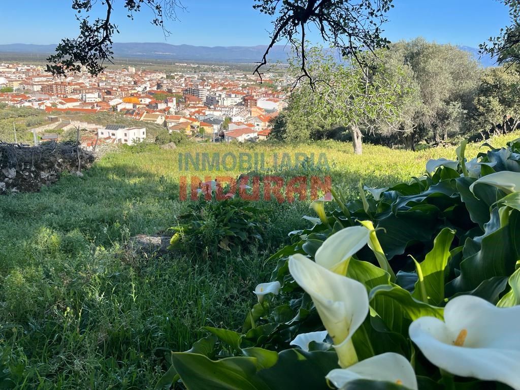 Finca rústica en venta en Navalmoral de la Mata