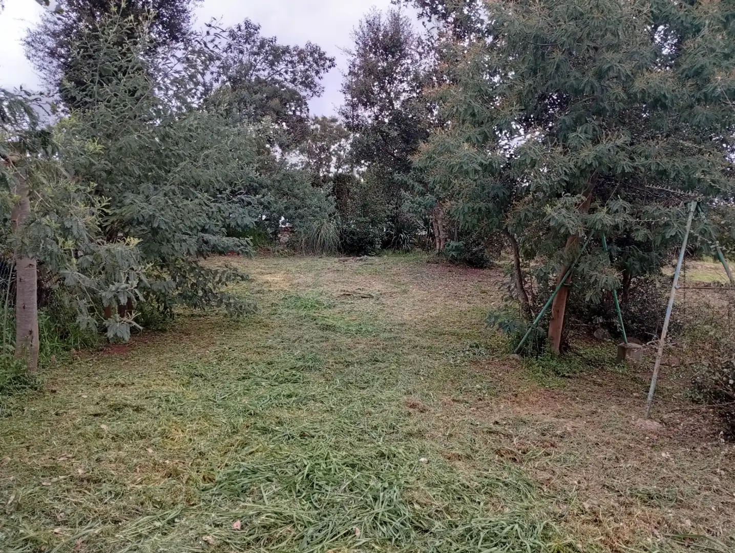 Terreno residencial en venta en Carrer Tramuntana 13, imagen 2