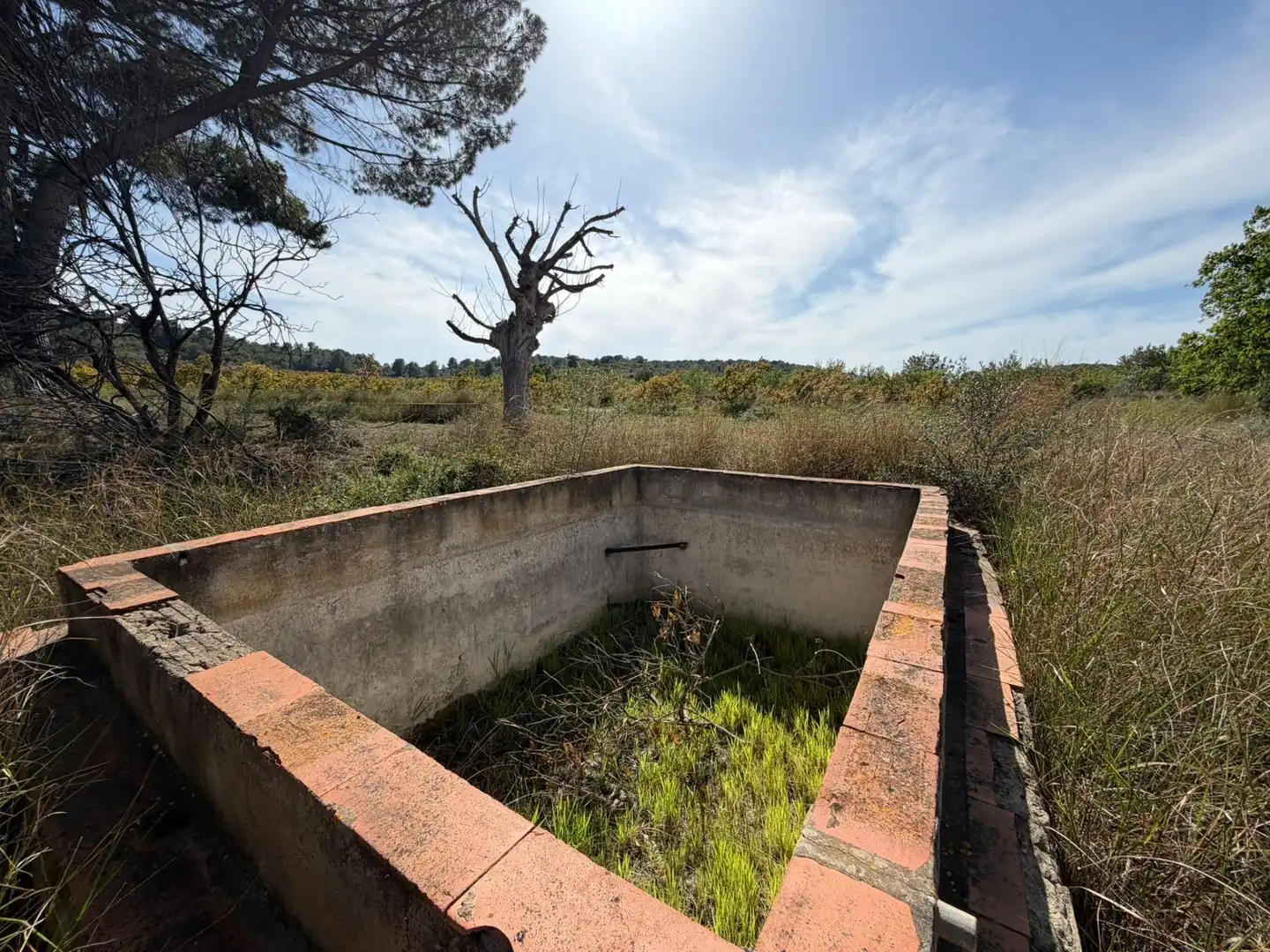 Piscina de Casa o chalet en venta en Olocau con Jardín privado, Terraza y Trastero