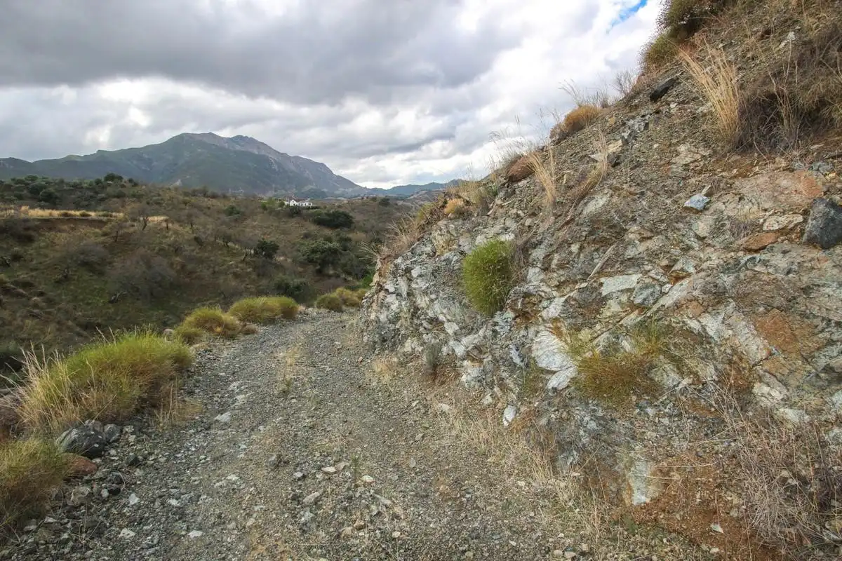 Terreno rustico in vendita a Monda, imagen 7