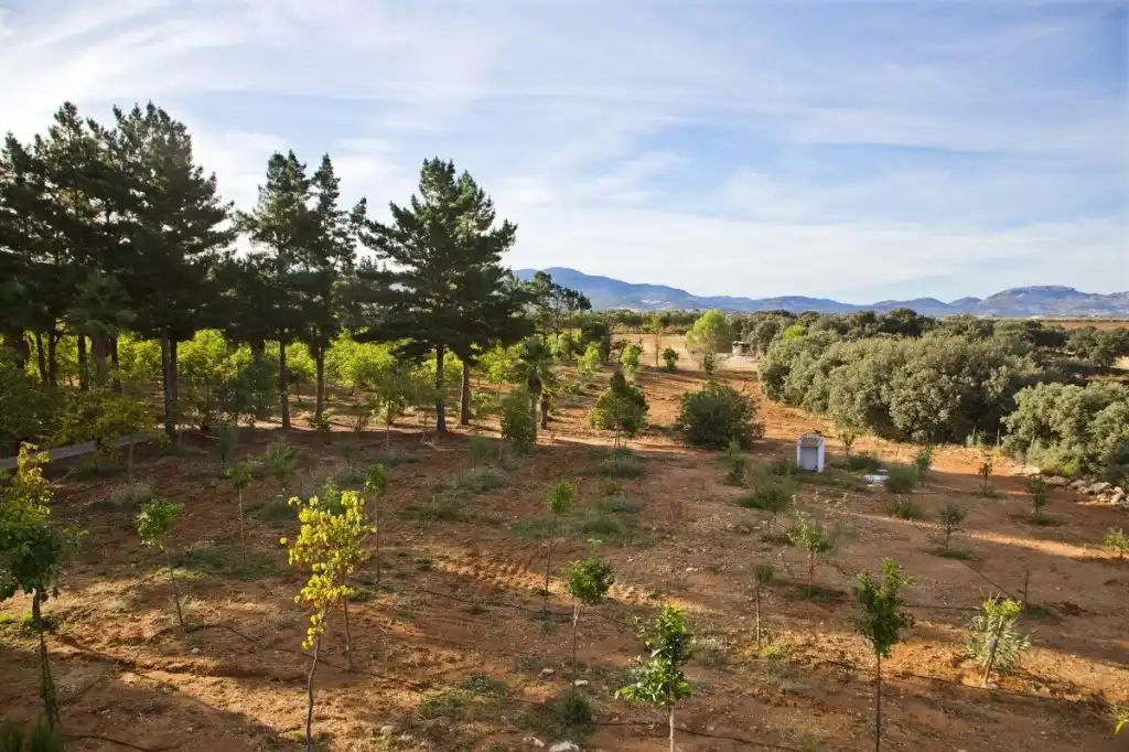 Country homes for sale in Ronda  with Private garden, Terrace and Swimming Pool